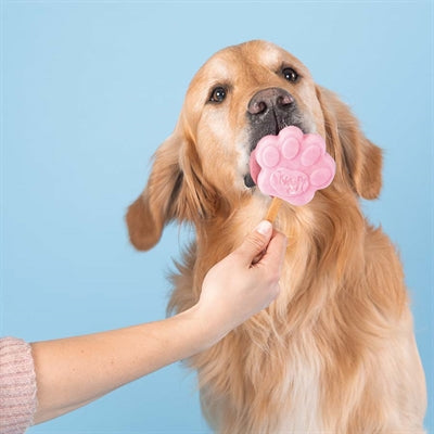 Smoofl Ice Mix For Dogs Strawberry