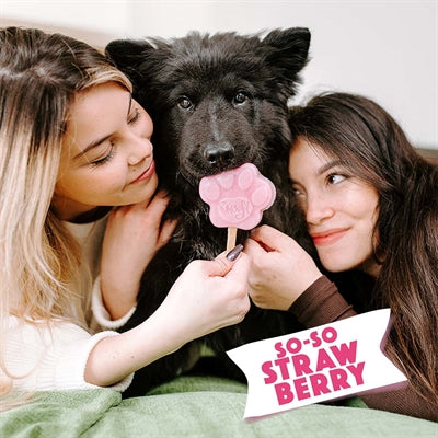 Smoofl Ice Mix For Dogs Strawberry