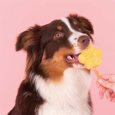 Smoofl Ice Mix For Dogs Apple
