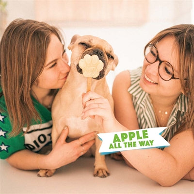 Smoofl Ice Mix For Dogs Apple