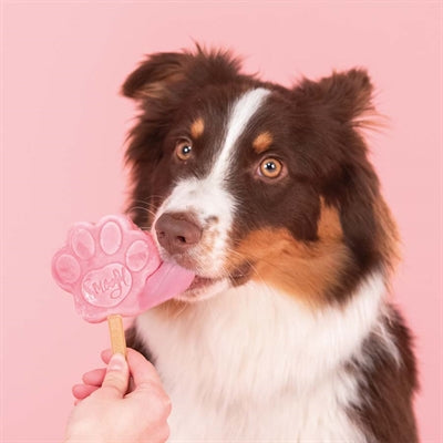 Smoofl Ice Mix For Dogs Watermelon