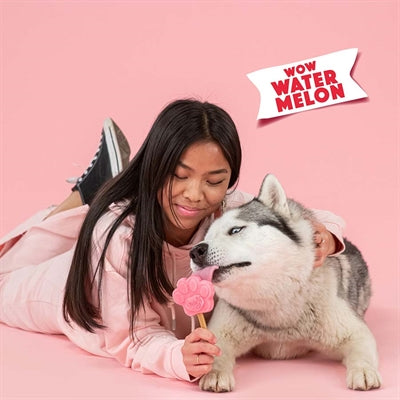 Smoofl Ice Mix For Dogs Watermelon